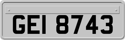 GEI8743