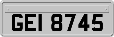 GEI8745
