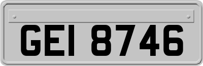 GEI8746