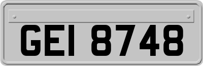 GEI8748