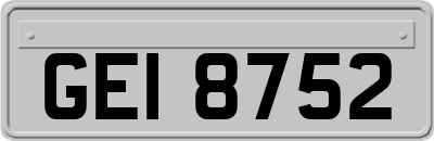 GEI8752