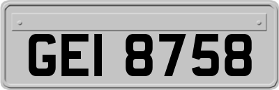 GEI8758