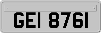 GEI8761