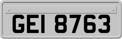 GEI8763