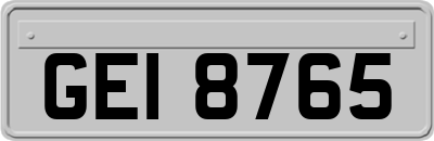 GEI8765