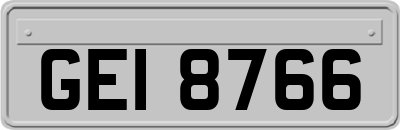 GEI8766