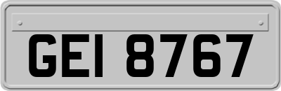 GEI8767