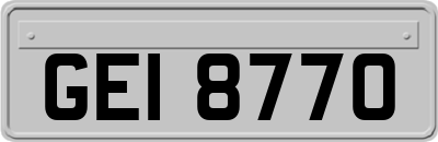 GEI8770