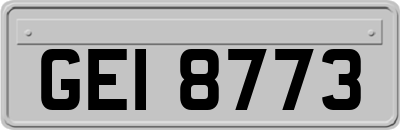 GEI8773