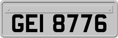 GEI8776