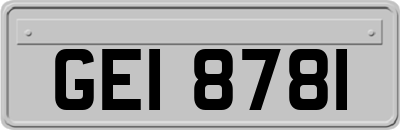 GEI8781