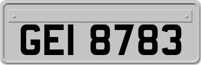 GEI8783