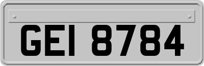 GEI8784