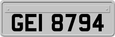 GEI8794