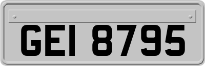 GEI8795