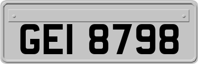 GEI8798