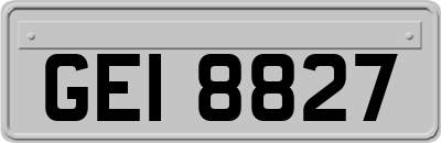 GEI8827