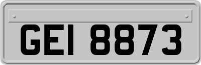GEI8873