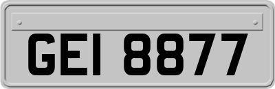 GEI8877