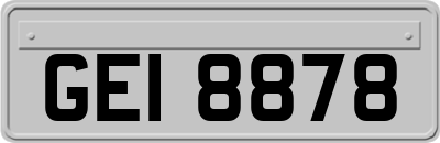 GEI8878