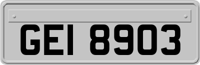 GEI8903