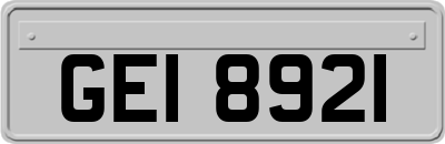 GEI8921