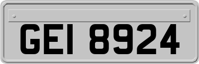 GEI8924