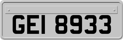 GEI8933