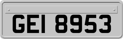 GEI8953