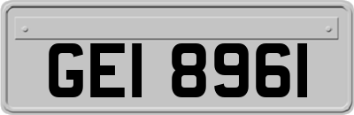 GEI8961