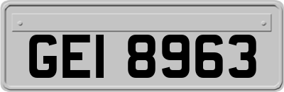 GEI8963
