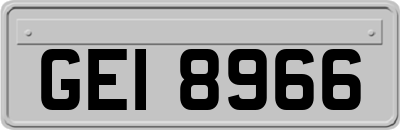 GEI8966