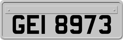 GEI8973