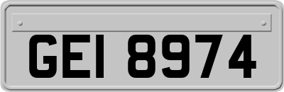 GEI8974