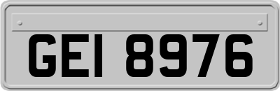 GEI8976