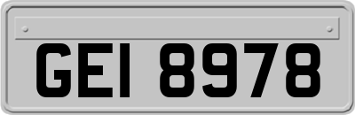 GEI8978