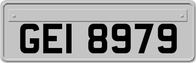 GEI8979