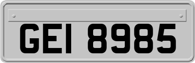 GEI8985