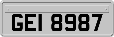 GEI8987
