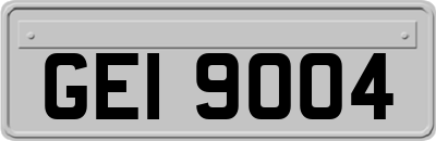 GEI9004