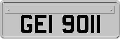 GEI9011