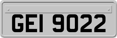 GEI9022