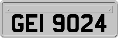 GEI9024