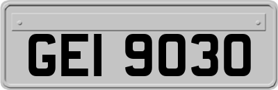 GEI9030