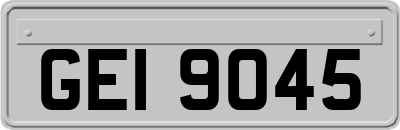 GEI9045