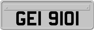GEI9101