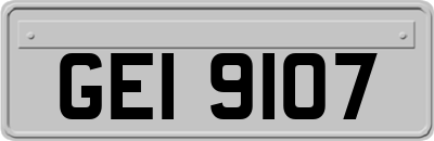 GEI9107