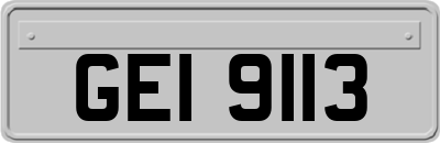 GEI9113