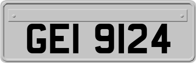 GEI9124