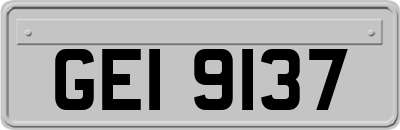 GEI9137